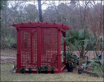 8 x 12 Treated Pine Arched Pergola shown with Treated Pine Deck, Sequoia Stain, 36" Post Trim, and Full Wall Lattice Privacy Wall. 