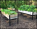 Eastern Red Cedar Raised Garden Bed w/ Self Watering Tray