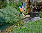 Blue Bird Garden Balancer