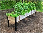 Eastern Red Cedar Raised Garden Bed