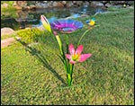 Floral Garden Feeder