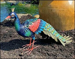 Royal Peacock Garden Decoration