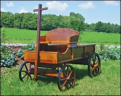 Deluxe Buckboard Wagon