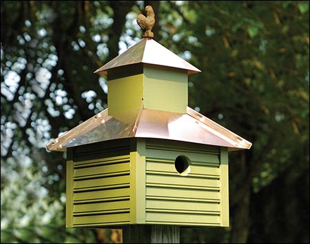 Rise and Shine Birdhouse