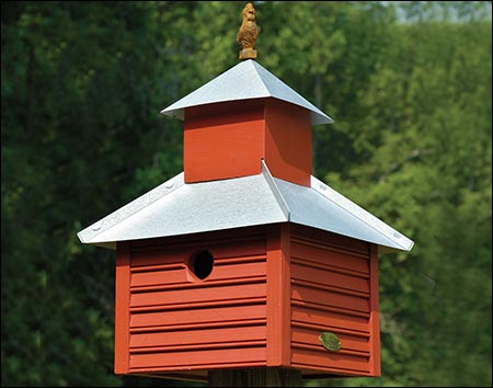 Rise and Shine Birdhouse