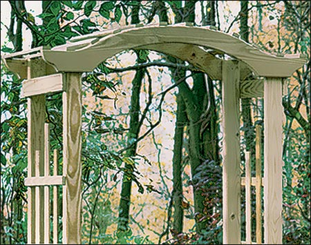 Treated Pine Shelton Arbor