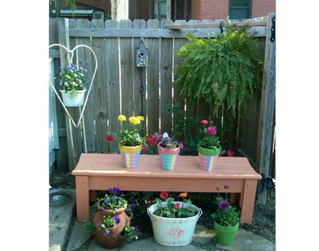 Select Pine Contoured Garden Bench