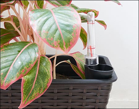 Wicker Rectangular Self-Watering Planter
