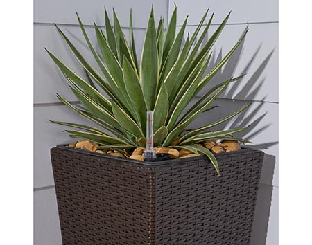 Wicker Cubico Smart Self-Watering Planter