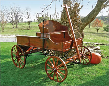 Deluxe Buckboard Wagon