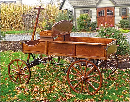 Deluxe Buckboard Wagon