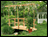 Monet's Red Cedar Bridge w/ Flat Wisteria Canopy