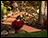 2' Wide Composite Roll-Up Walkway