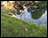 Eagle Flying Garden Balancer
