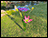 Floral Garden Feeder