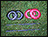 Quoit Set