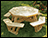 Treated Pine Octagon Walk-In Picnic Table